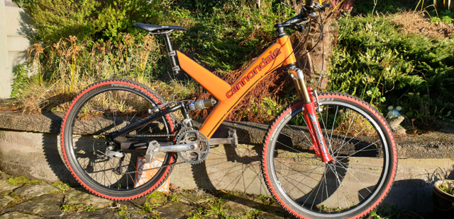 cannondale raven carbon